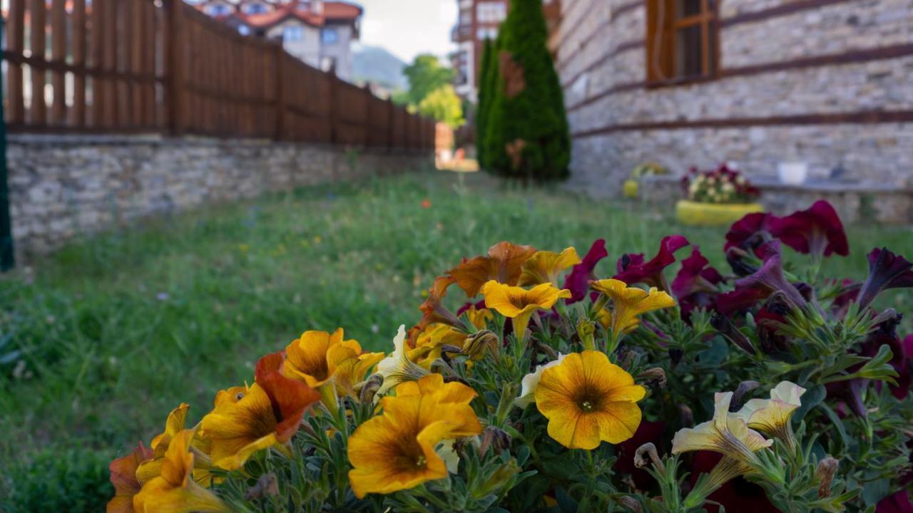 Two Bedroom Apartments In Murphys Lodge Μπάνσκο Εξωτερικό φωτογραφία